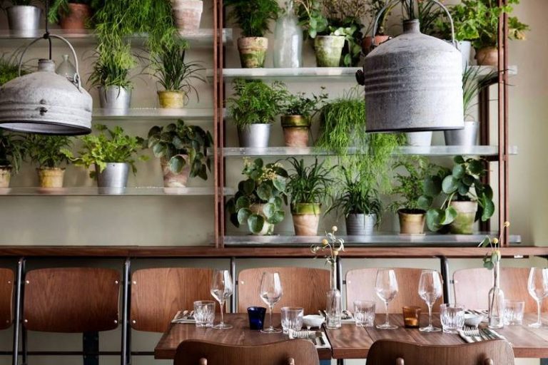 Restaurante moderno con plantas colgantes y mesas elegantemente dispuestas.